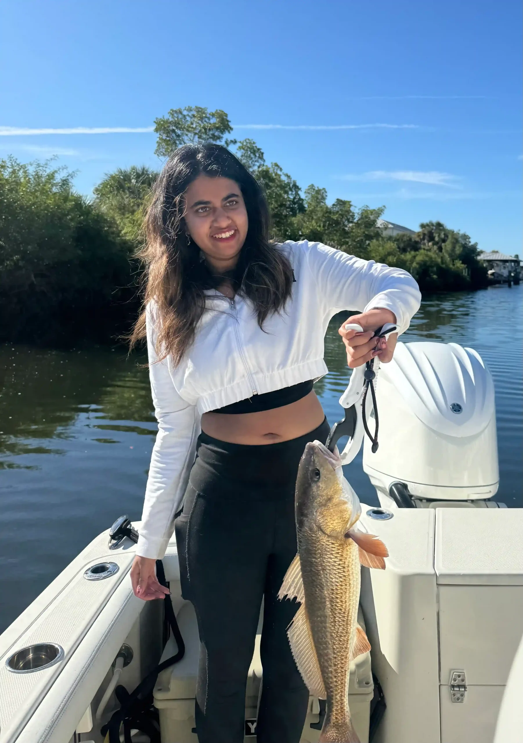 Baits and Techniques 